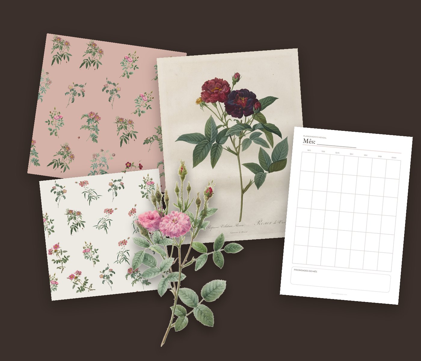 Ilustrações vintage, rosas em PNG, papéis digitais e miolo de planner da Peonia de Papel