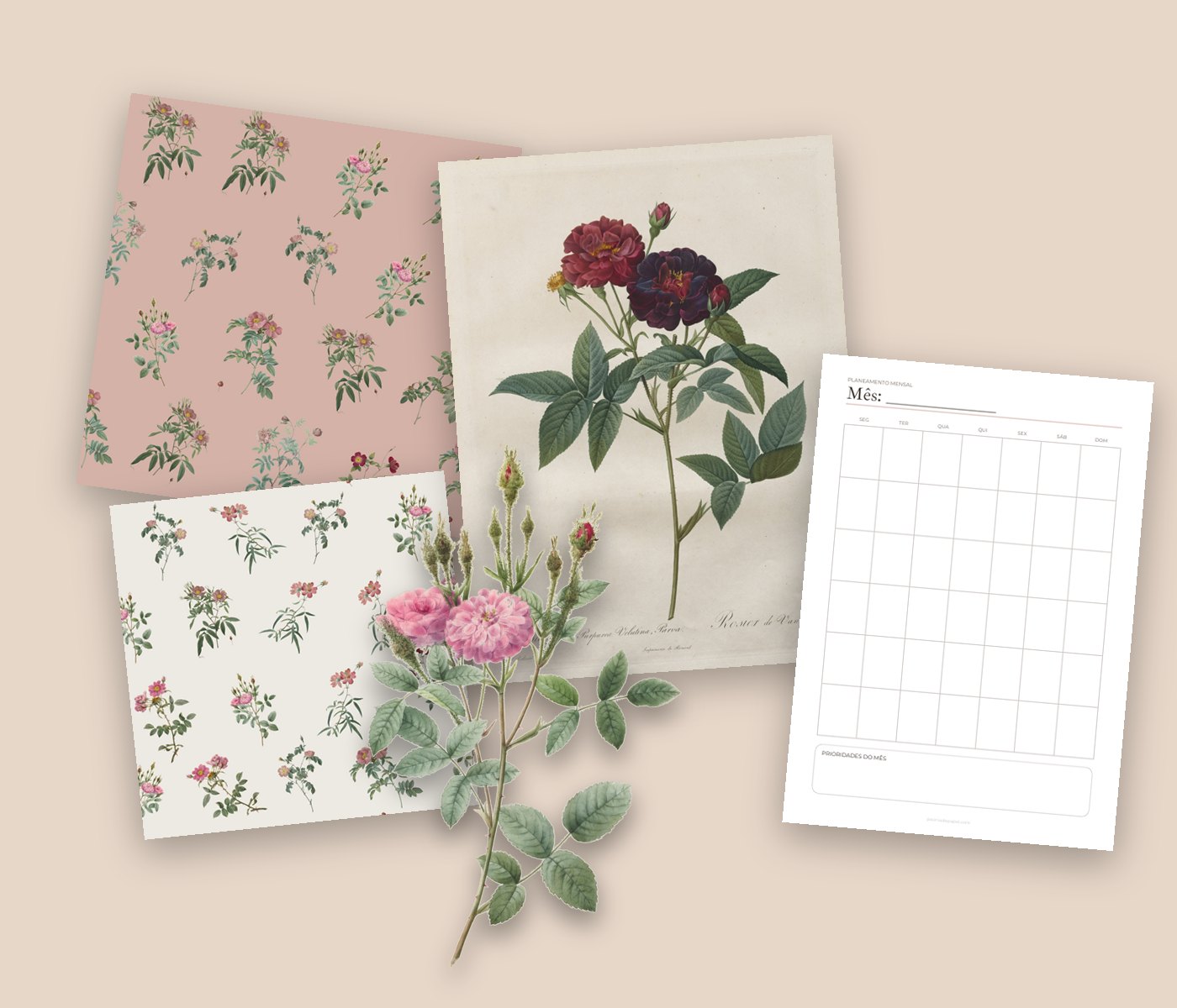 Pacotes de artes digitais da Peonia de Papel: gravuras, padrões e planner
